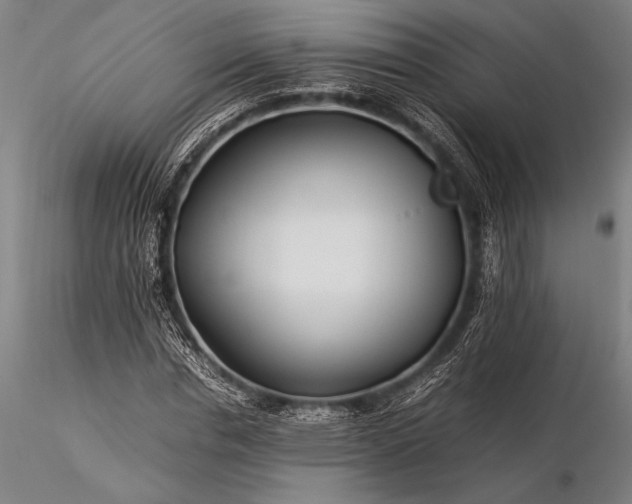 X0000116370826200912161436