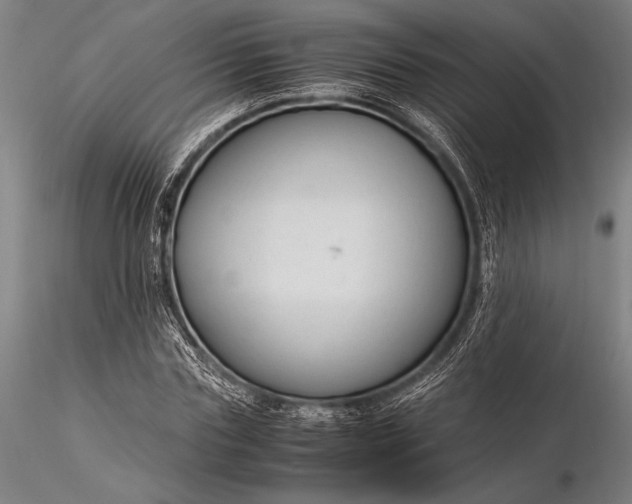 X0000116370827200912161436