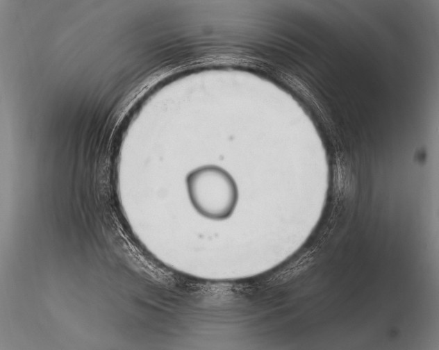 X0000116370828200912161436