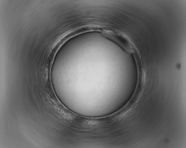 X0000116370829200912161436