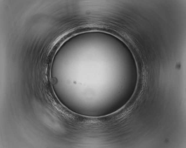 X0000116370830200912161436