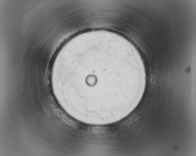 X0000116370832200912161436