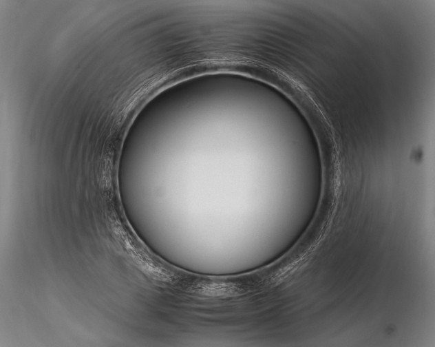 X0000116370833200912161436