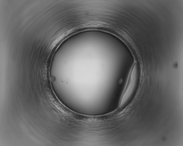 X0000116370834200912161436