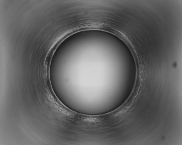 X0000116370835200912161436