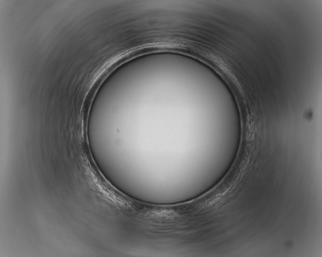 X0000116370837200912161436