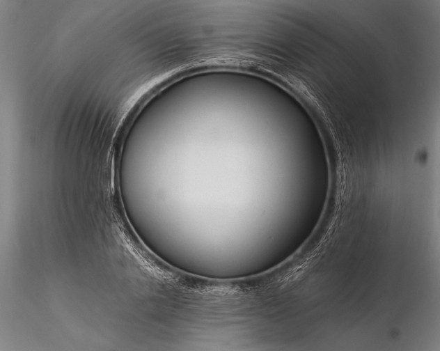 X0000116370838200912161436