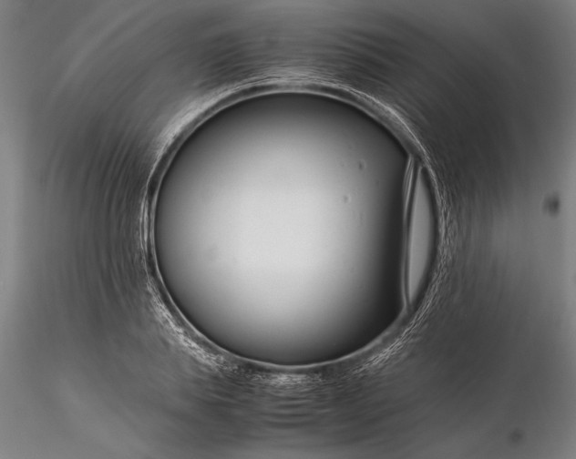 X0000116370839200912161436