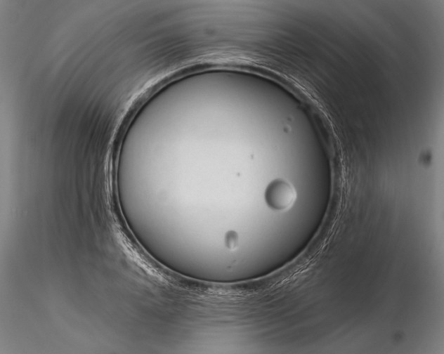 X0000116370840200912161436