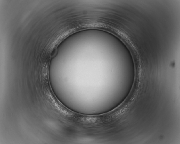 X0000116370841200912161436