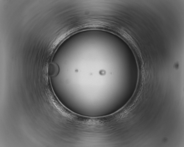 X0000116370842200912161436