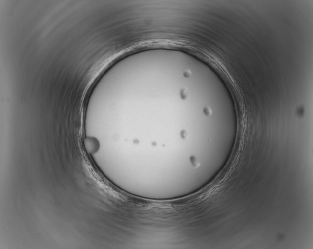 X0000116370844200912161436