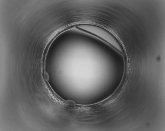 X0000116370845200912161436