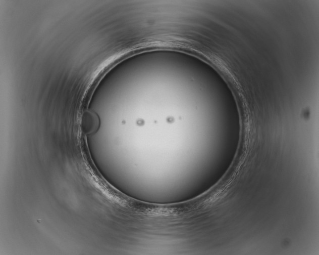 X0000116370846200912161436