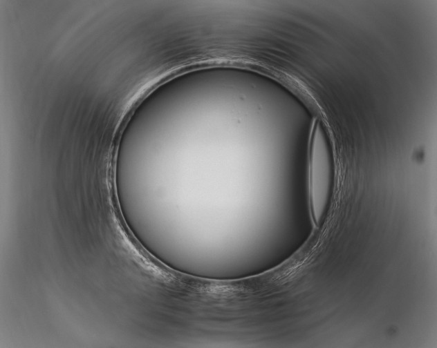 X0000116370847200912161436