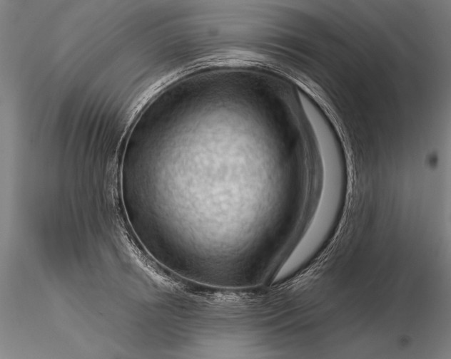 X0000116370850200912161436