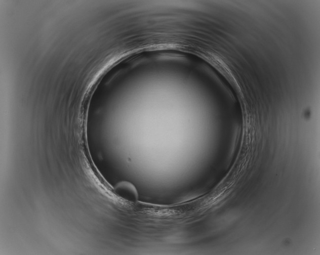 X0000116370851200912161436