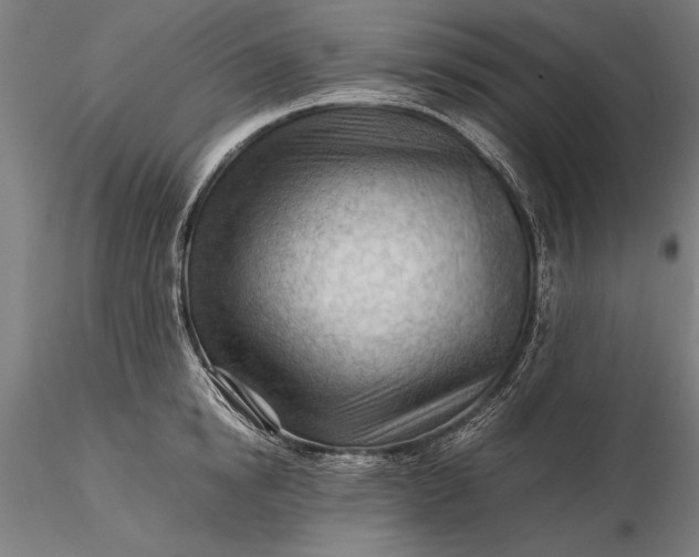 X0000116370854200912161436