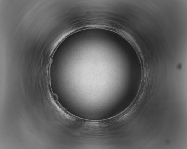 X0000116370855200912161436