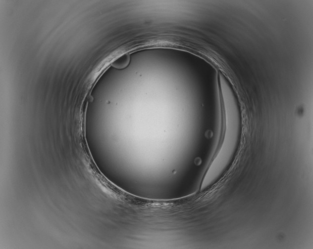 X0000116370858200912161436