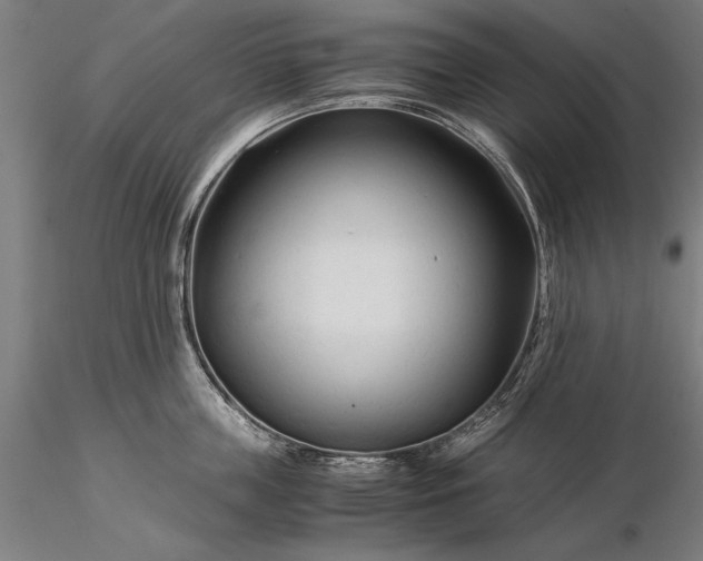 X0000116370859200912161436