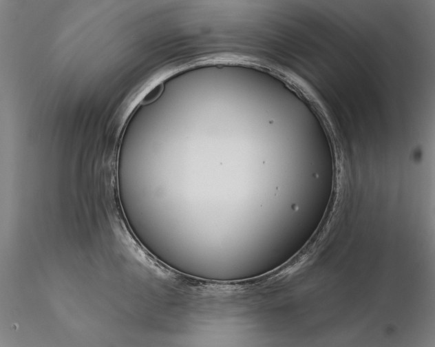 X0000116370860200912161436