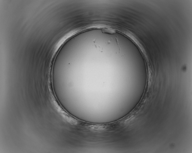 X0000116370861200912161436