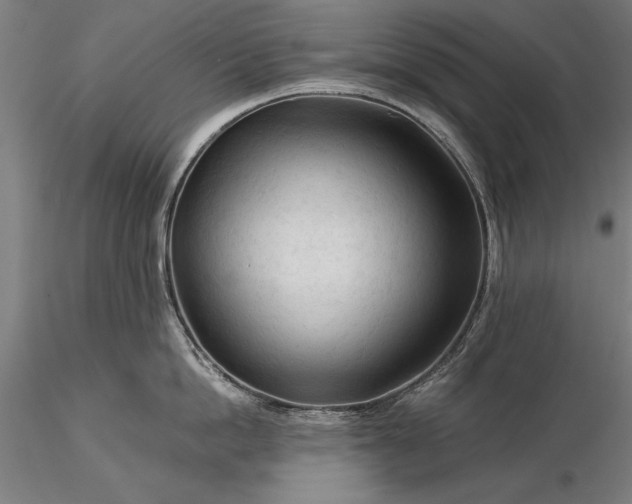 X0000116370862200912161436