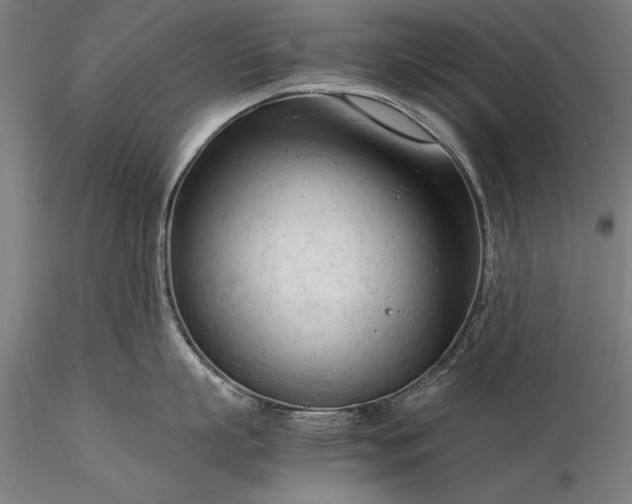 X0000116370863200912161436