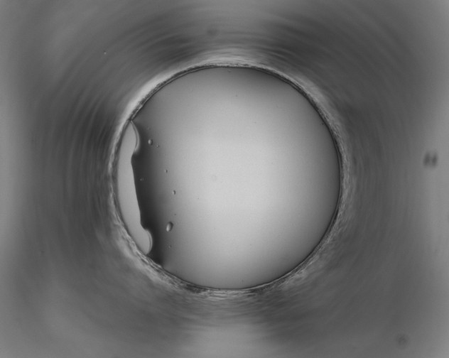 X0000116370864200912161436