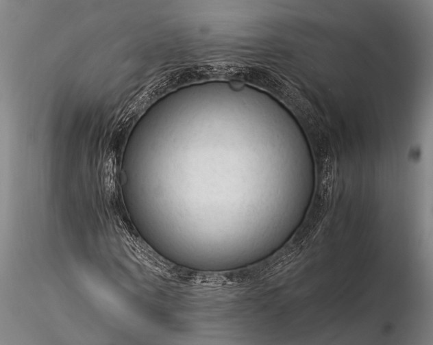 X0000116370866200912161436