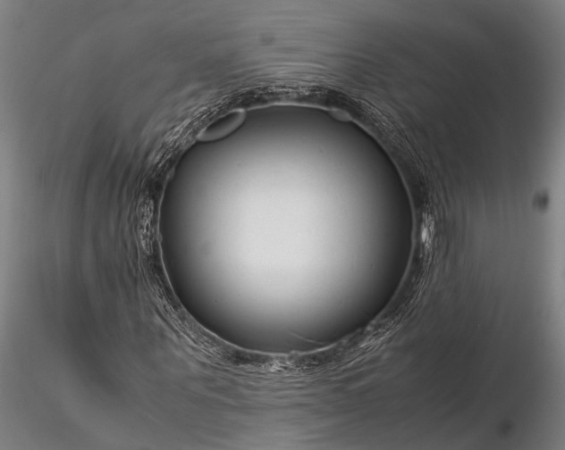 X0000116370867200912161436