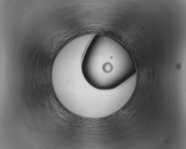 X0000116370868200912161436