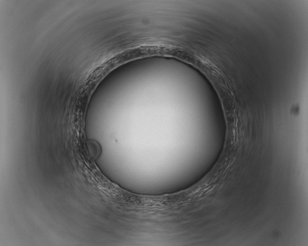 X0000116370870200912161436