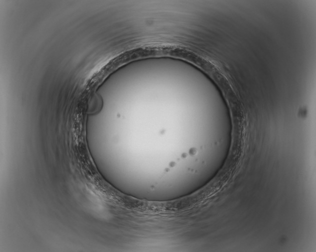 X0000116370871200912161436