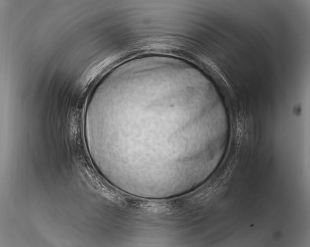 X0000116370874200912161436