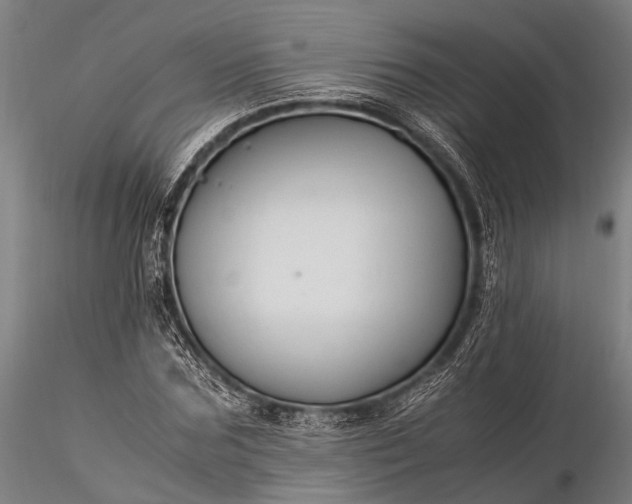 X0000116370875200912161436