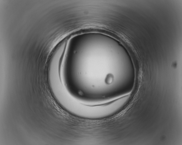 X0000116370877200912161435