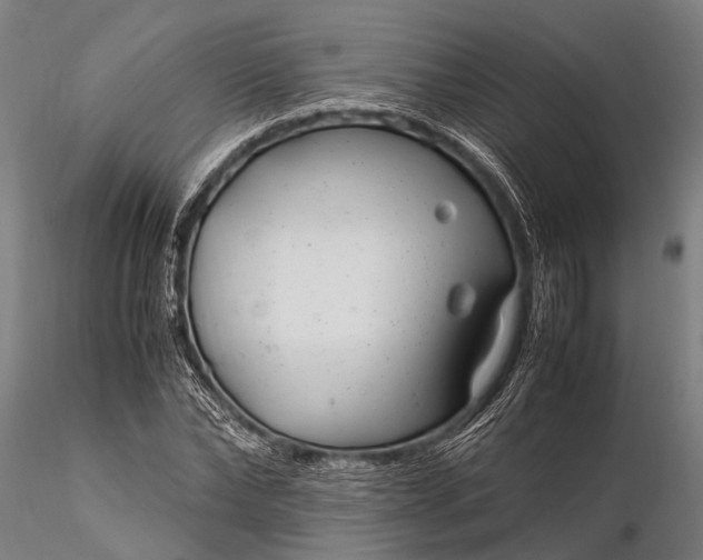 X0000116370878200912161435