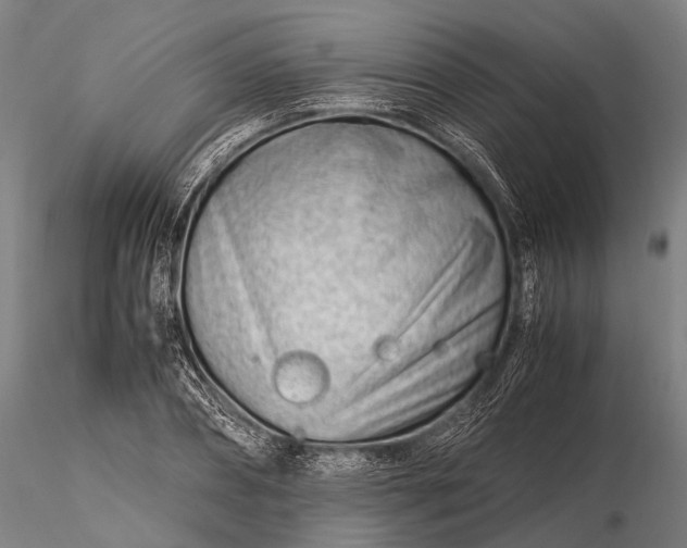 X0000116370882200912161435