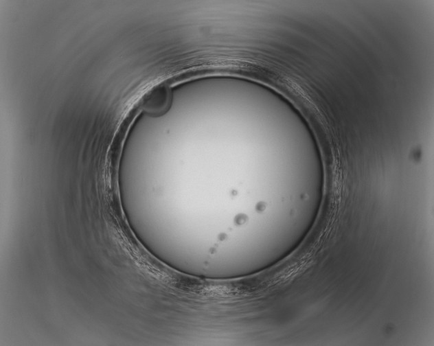 X0000116370883200912161435