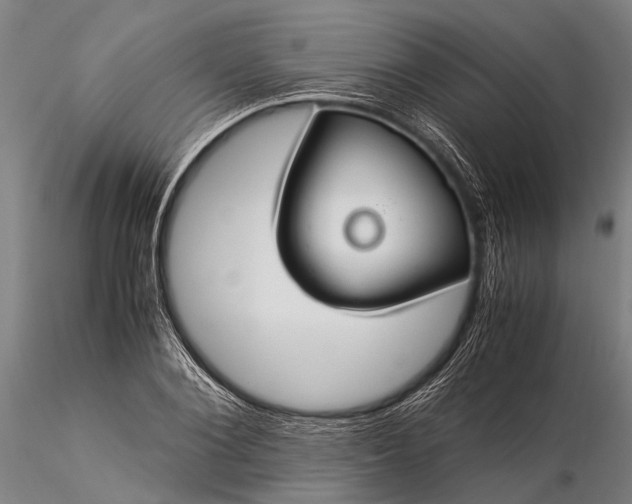 X0000116370884200912161435