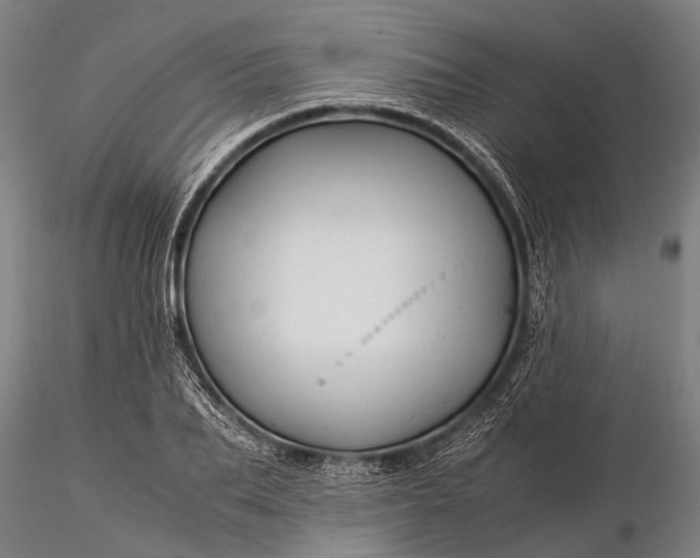 X0000116370887200912161435