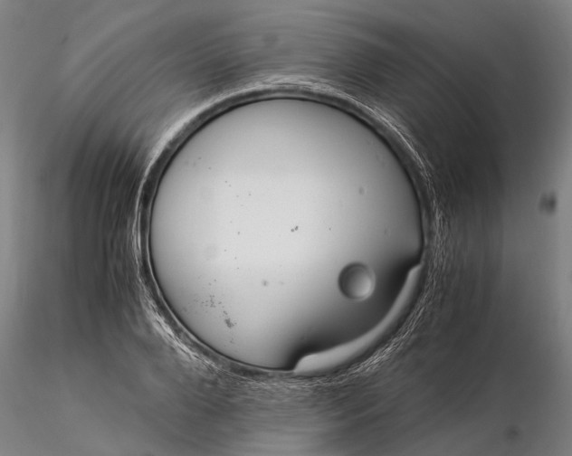 X0000116370888200912161435