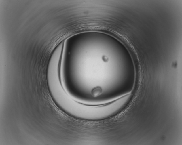 X0000116370889200912161435