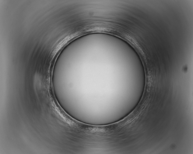 X0000116370890200912161435