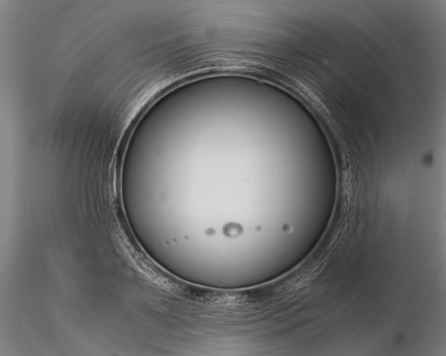 X0000116370891200912161435