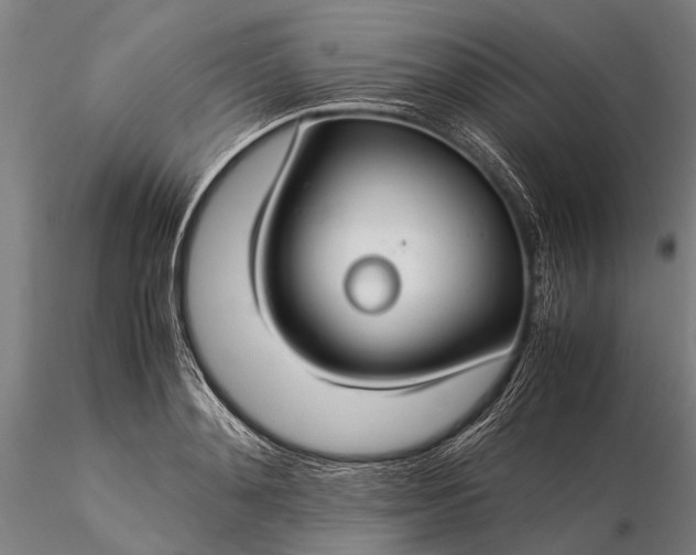 X0000116370892200912161435