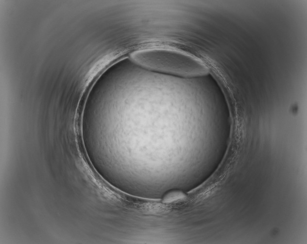 X0000116370893200912161435