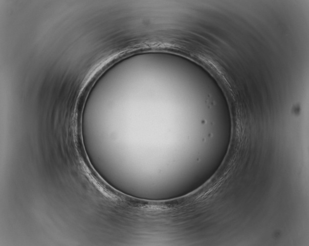 X0000116370894200912161435